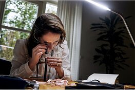 Taxeren van sieraden wat is het nut?