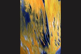 Polak & Allender exposeren ‘Spring is about to bloom’