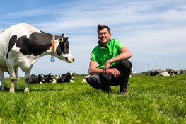 Open Boerderijdagen 2024: boeren in Noord-Holland laten zien hoe zij bijdragen aan een betere morgen