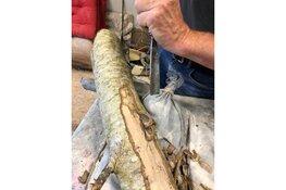 Start kunst-beeldhouw lessen in Tha Banque Bergen voor volwassen en kinderen