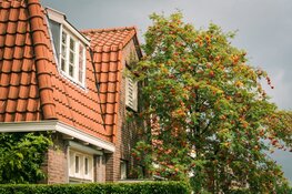 4 must-haves voor je dakkapel waar je echt iets aan hebt