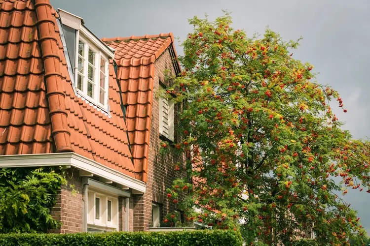 4 must-haves voor je dakkapel waar je echt iets aan hebt