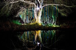 Fjoertoer Egmond verduurzaamt lichtacts met hulp van provincie Noord-Holland