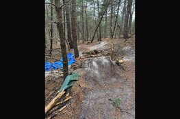 Schade door illegale activiteiten in beschermd natuurgebied ‘Schoorlse Duinen’