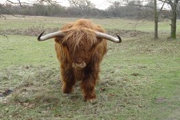 Winter of lente op zondag 2 februari 2025