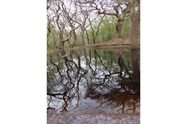 Laat je op laarzen verrassen door wonderen in de natuur.