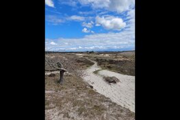 Voorjaarswandeling  in de duinen bij de  Duinheide Bergen  op zondag 10 maart