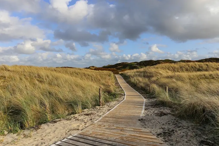 Droogte in de duinen