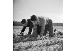 Het Joods Werkdorp Wieringermeer: herinneren is herdenken