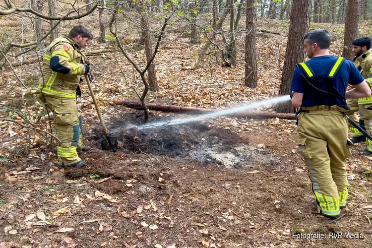 Brandje in Schoorlse duinen op tijd ontdekt door mountainbiker