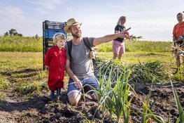 Open dag op 22 juni 2025: beleef het goede boerenleven van dichtbij