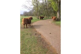 Duik in het verleden van het duingebied