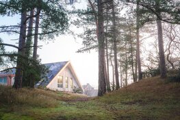 Magisch theaterspektakel in het bos
