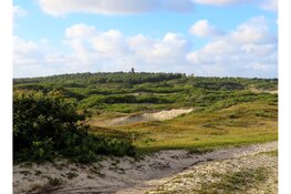 Wat is de oorspronkelijke naam van het huis met deze bekende toren?