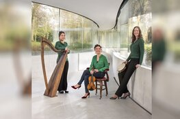 Sprankelende Ierse muziek in Het Witte Kerkje in Groet