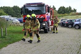 Paard trapt gasleiding lek in de duinen van Egmond