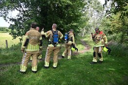 Paard trapt gasleiding lek in de duinen van Egmond