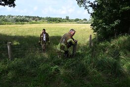 Paard trapt gasleiding lek in de duinen van Egmond