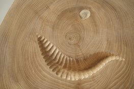 Beeldhouwen in Atelier XerXa