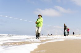 Ga met IVN gidsen zondag 21 september op zee-excursie