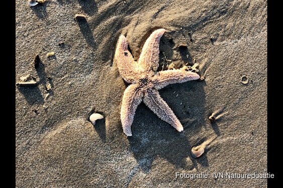 Groene Strand expeditie Camperduin