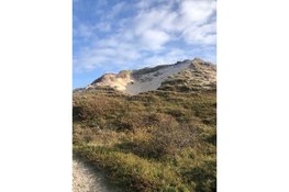Natuur- en cultuurwandeling Bergen aan Zee op zondag 2 november