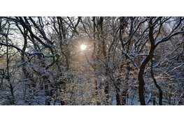 Sint gaat niet mee op zondag 7 december 2025; jij wel?