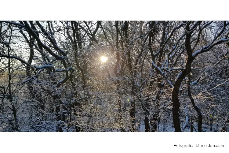 Sint gaat niet mee op zondag 7 december 2025; jij wel?