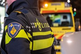 Bestelbus botst op verkeerslicht, bestuurder ernstig gewond