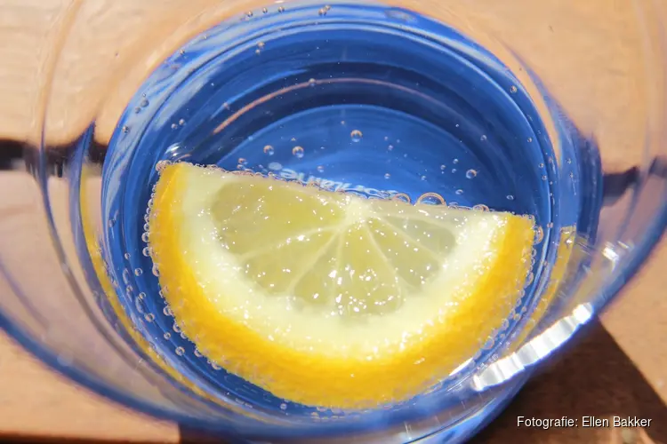 Expositie 'Schilderijen en fotokunst' van 9 januari t/m 26 februari 2026 in Het Zeehuis