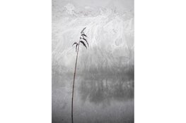 Van Akker tot Abdij – sporen door het landschap van Heiloo en Egmond