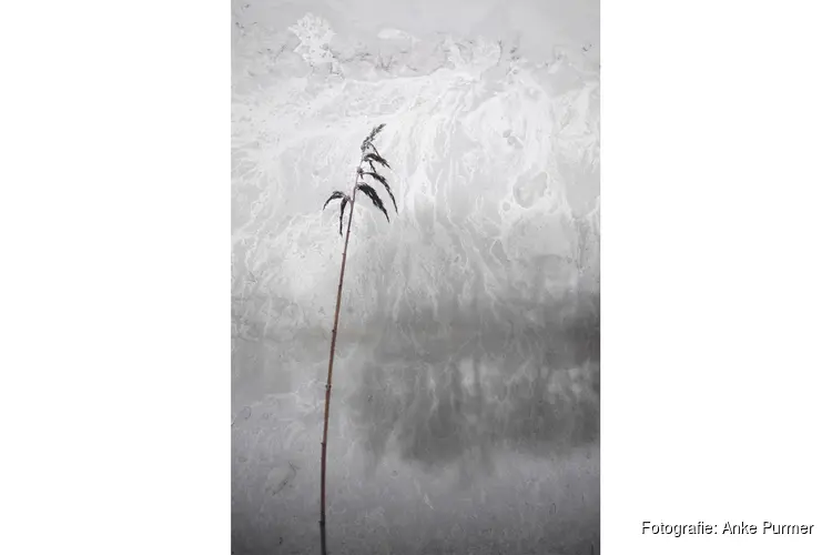 Van Akker tot Abdij – sporen door het landschap van Heiloo en Egmond