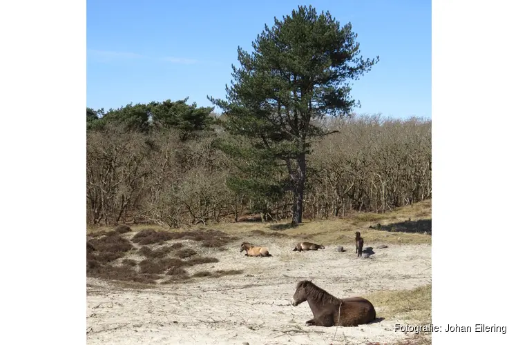 De natuur nodigd u uit voor een zoektocht naar vlinders in wintertijd