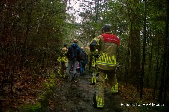 Paard overleden na val in duinen