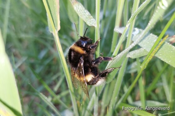 Wandeling Bergen aan Zee 8 maart