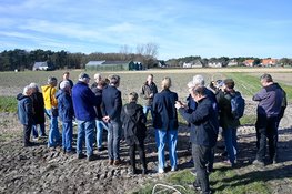 Van ambitie naar actie: gemeente Bergen start praktijkfase biologische bollenteelt