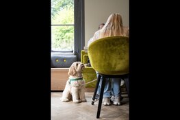 Gratis hondenkoekjes en appeltaart bij Het Hof bij start broedseizoen