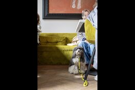 Gratis hondenkoekjes en appeltaart bij Het Hof bij start broedseizoen