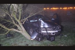 Automobilist belandt in voortuin van woning in Bergen