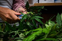 Criminelen misbruiken bedrijfspanden: bijeenkomst moet schade voorkomen