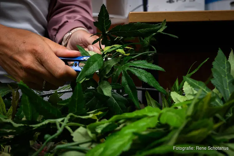 Criminelen misbruiken bedrijfspanden: bijeenkomst moet schade voorkomen