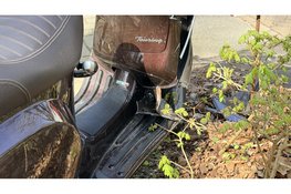 Scooterrijdster gewond na aanrijding op Eeuwigelaan in Bergen