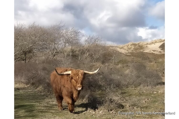 IVN-wandeling op de Westert en de Bleek; Lente avondwandeling door eeuwenoud duinlandschap