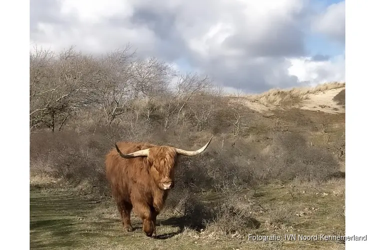 IVN-wandeling op de Westert en de Bleek; Lente avondwandeling door eeuwenoud duinlandschap