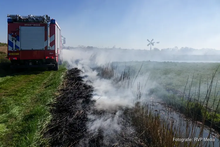 Fikse rookontwikkeling na rietbrand in Bergen