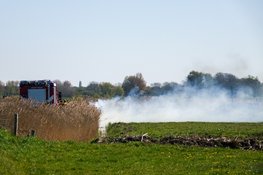 Fikse rookontwikkeling na rietbrand in Bergen