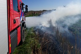 Fikse rookontwikkeling na rietbrand in Bergen