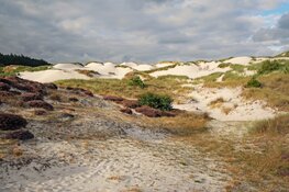 Ontdek het verhaal achter de Schoorlse Duinen