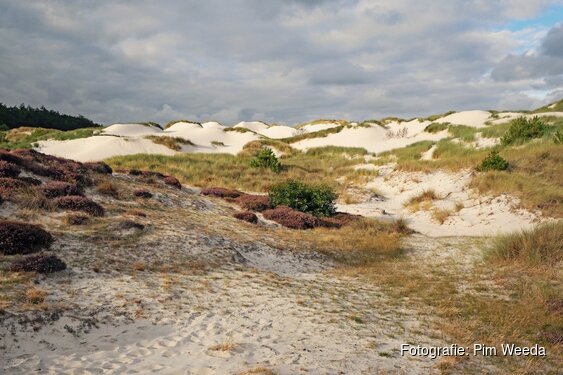 Ontdek het verhaal achter de Schoorlse Duinen