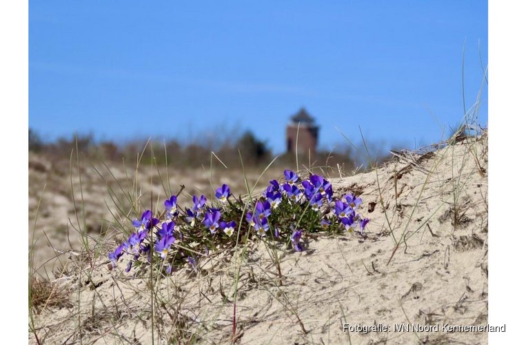 Natuur- en cultuurwandeling Bergen aan Zee